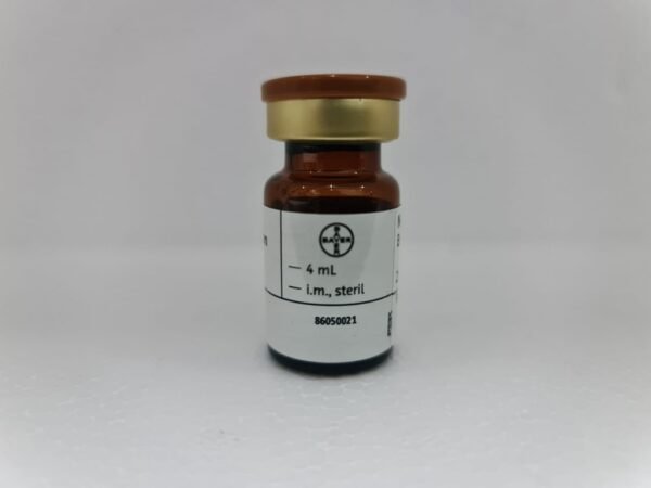 NEBIDO - Image 6